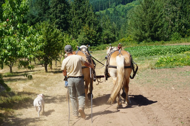 Climate news: 2023 was HOT!